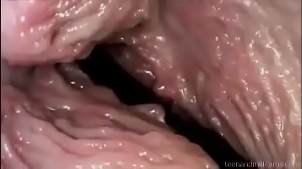 Penis camera inside vagina