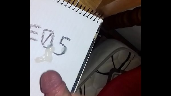 The notebook sex video