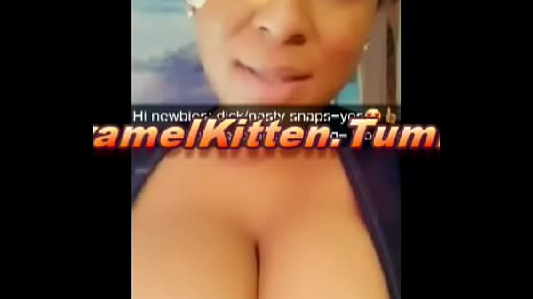 Caramel kitten twerk videos