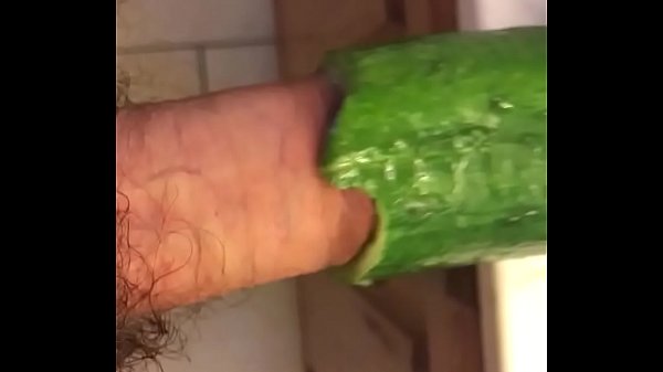 Cucumber dick