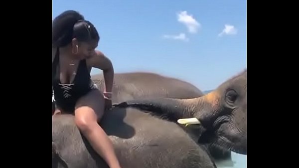 Elephant ass porn