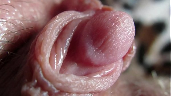 Big pussy lips close up