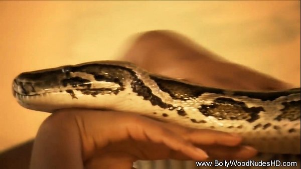 Live snake in pussy