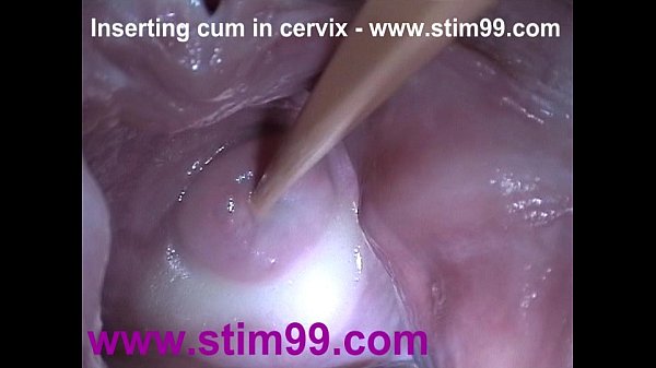 Putting head in vagina