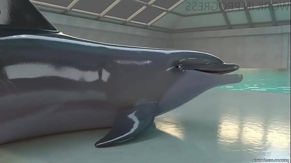 Furry dolphin porn