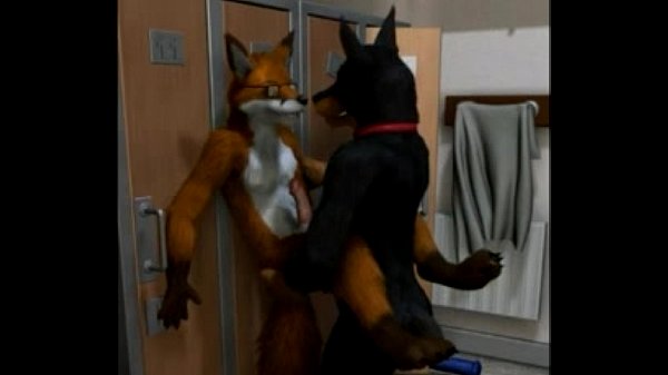 Gay fox furry porn