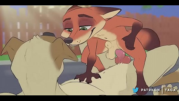 Gay furry yiff animation