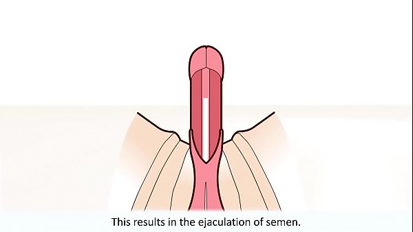 Male anal masturbation tutorial