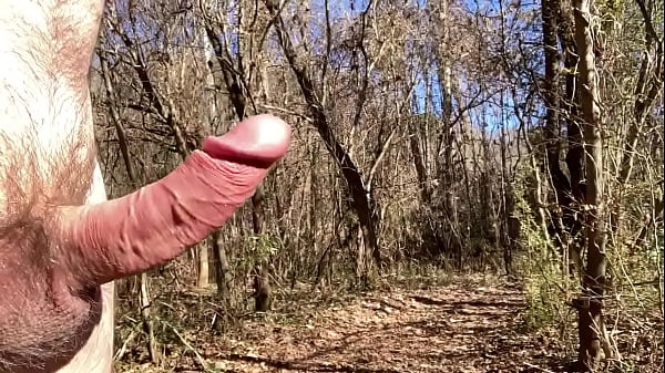 Nude penis erection