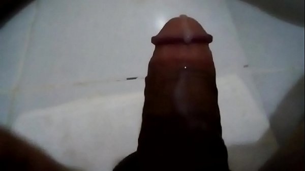 Schwanz penis