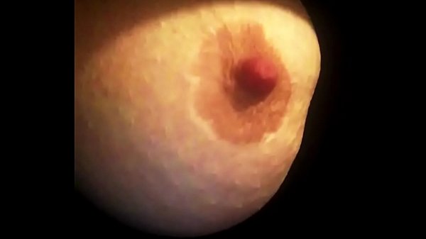 Sucking big hard nipples