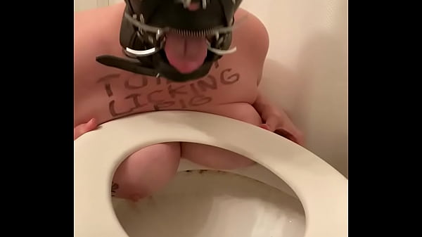 Toilet licking porn