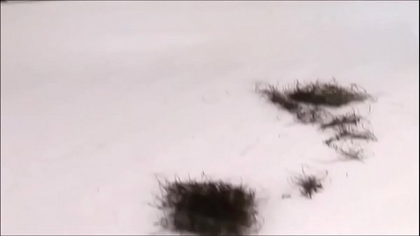 ブドウ籠 ショルダーバッグ