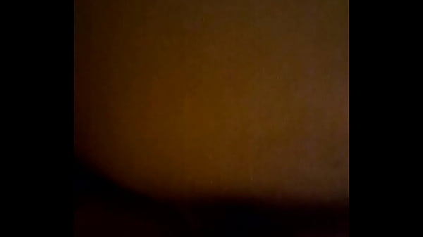 ウェクター　アコギ